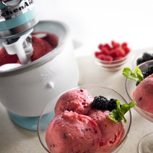 A Sorbet created using the Kitchen Aid Mixer Ice Cream Attachment