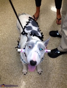 Frankenweenie