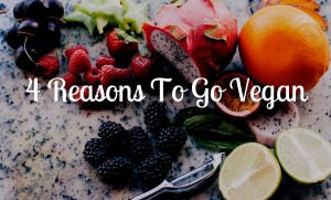 4 Reasons To Go Vegan