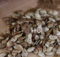How To Make Pumpkin Spiced Roasted Pumpkin Seeds