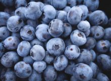 How To Make a Vegan Blueberry Pomegranate Matcha Smoothie