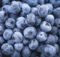 How To Make a Vegan Blueberry Pomegranate Matcha Smoothie